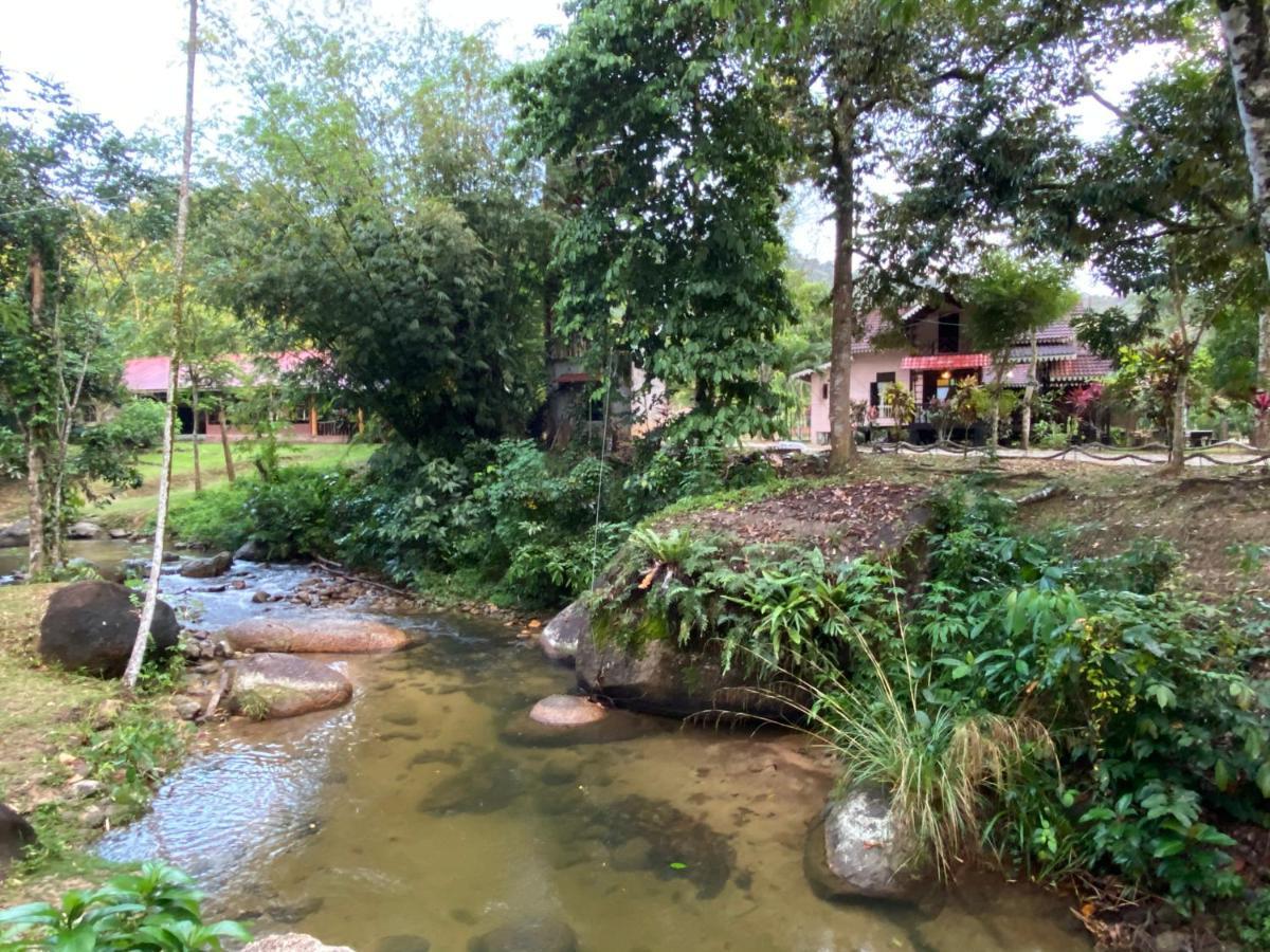 Rustic Chalet - Dahlia N Mawar At Sedim Vista Kulim Exteriör bild